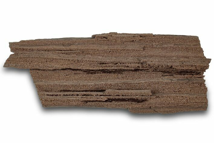 Permineralized Wood Covered In Sparkling Quartz - Germany #306982
